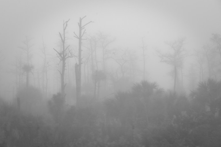 Ghosts of Olde Cypress