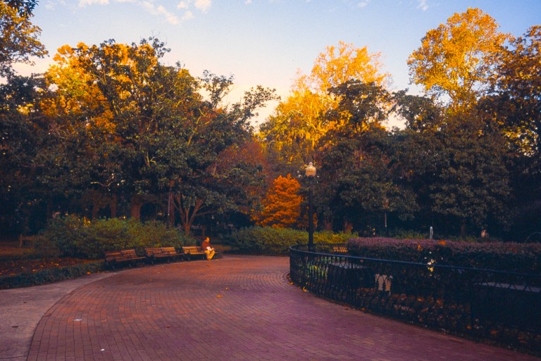 Autumn's quiet welcome