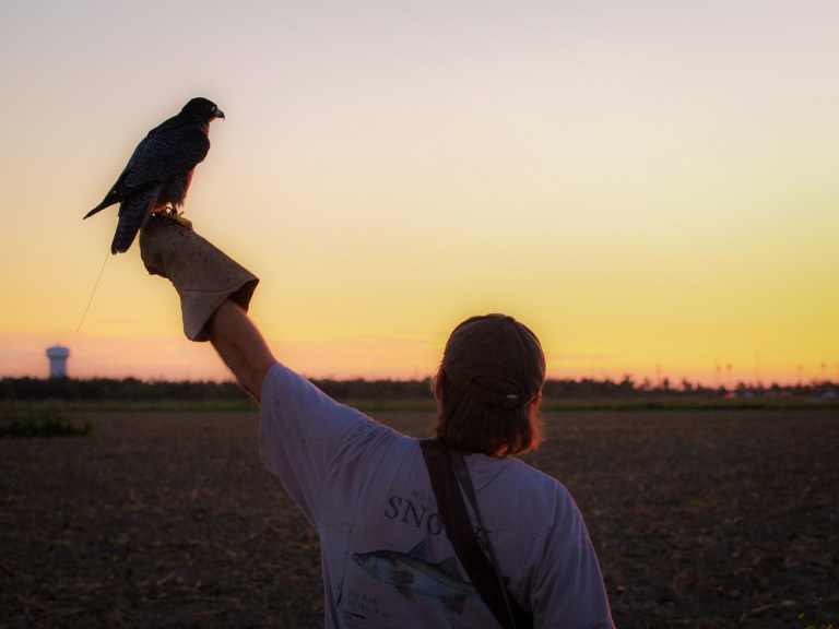 Last flight of the day