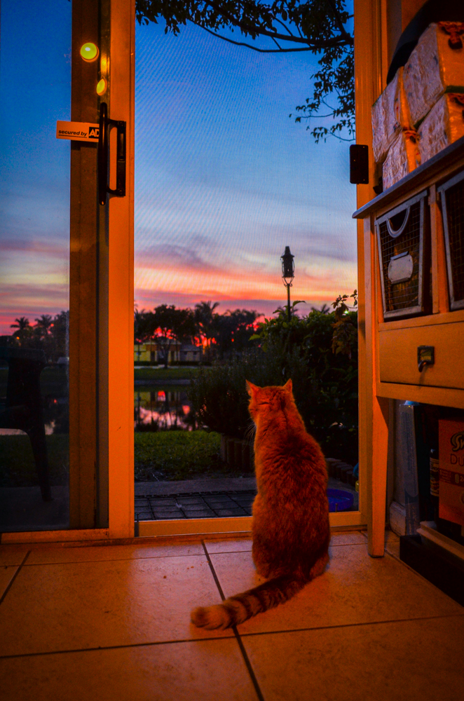 Everyone enjoys a sunset