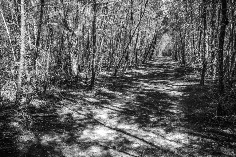 The road well traveled