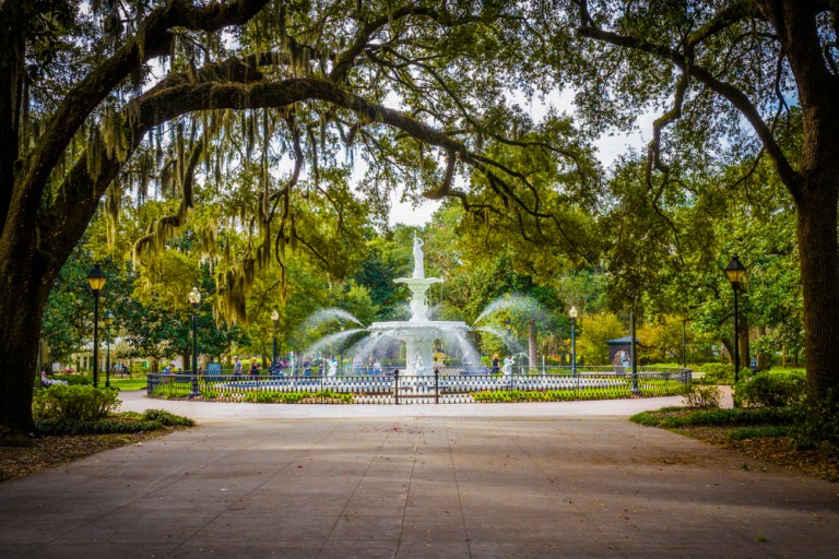 Forsyth fountain savannah